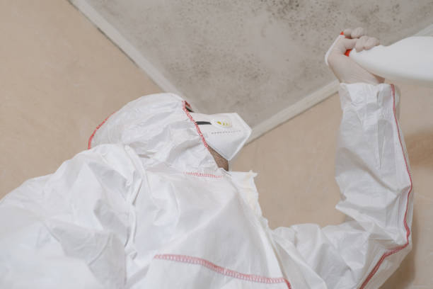 Best Residential Mold Remediation in Monte Sereno, CA