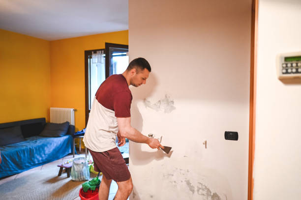 Best Preventive Mold Services in Monte Sereno, CA